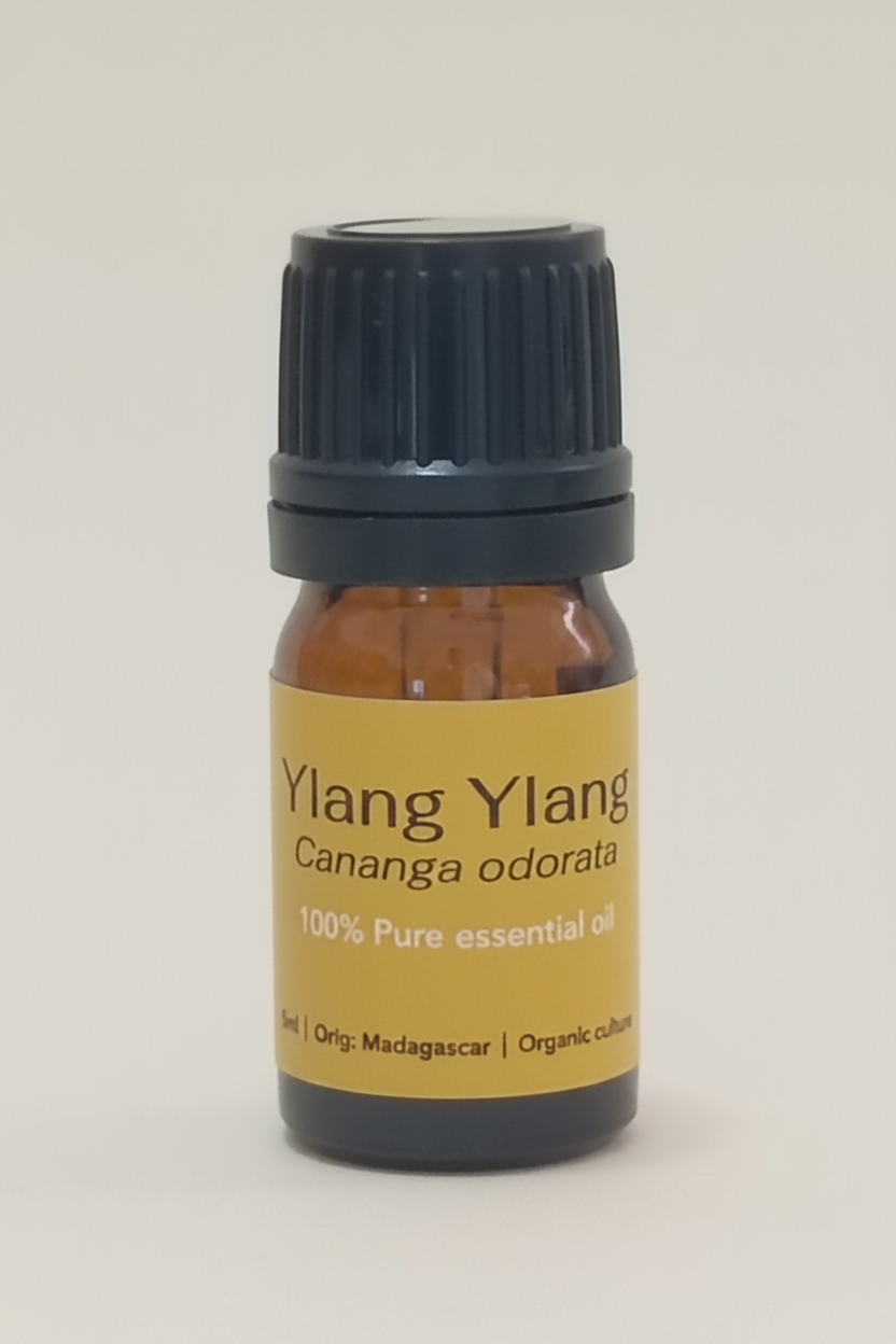Ylang Ylang (Cananga odorata)