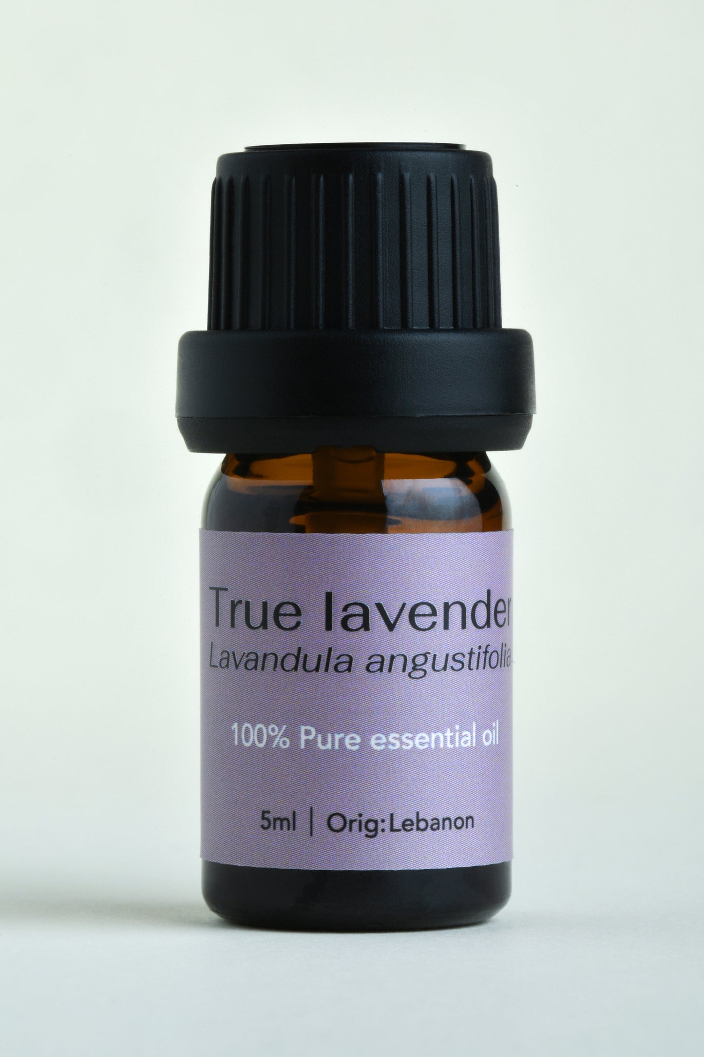Lavender (Lavandula angustifolia)