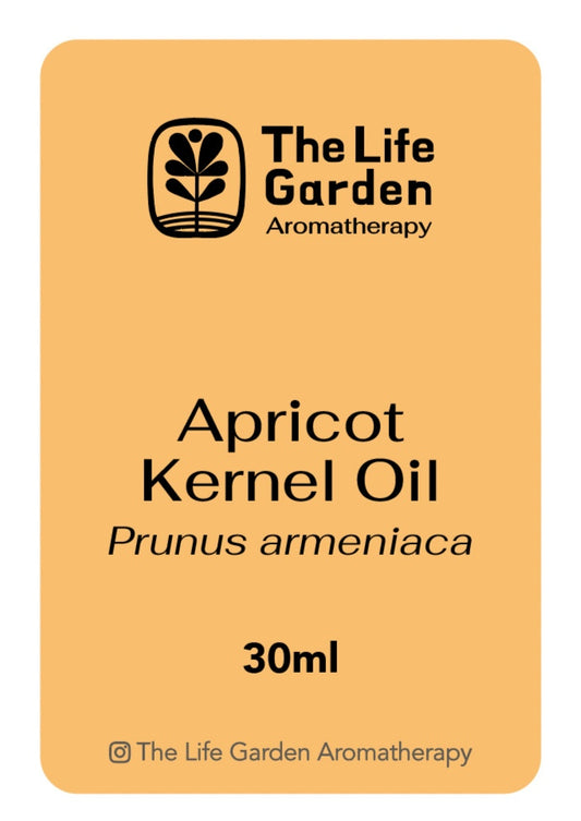 Apricot kernel (Prunus armeniaca)