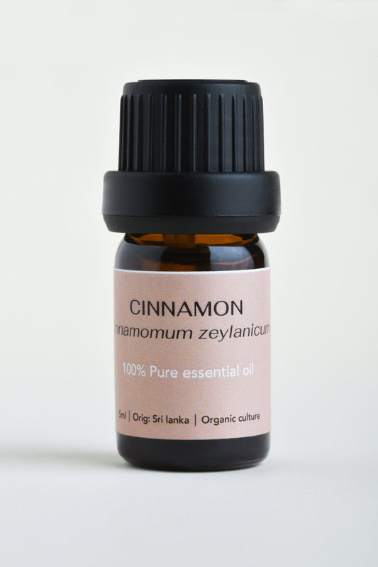 Cinnamon (Cinnamomum zeylanicum)