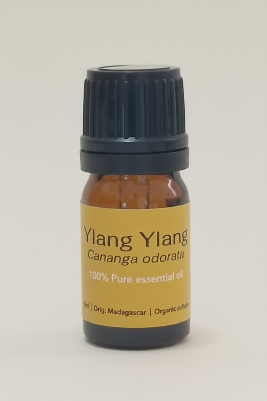 Ylang Ylang (Cananga odorata)
