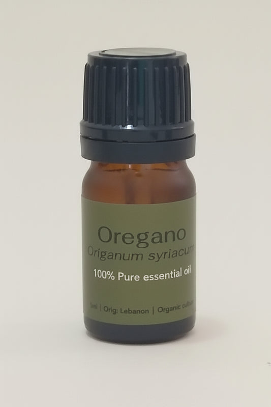 Oregano (Origanum syriacum)