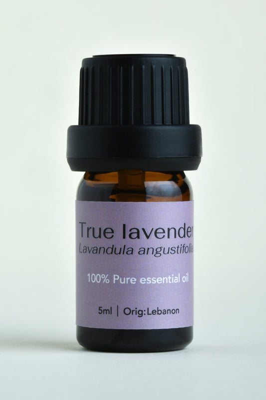 Lavender (Lavandula angustifolia)